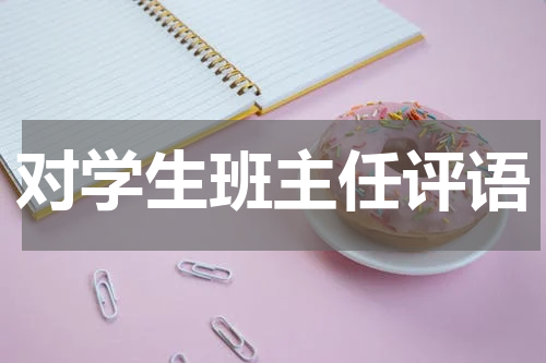 对学生班主任评语