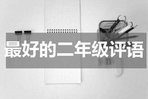 最好的二年级评语