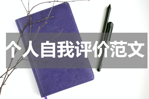 个人自我评价范文