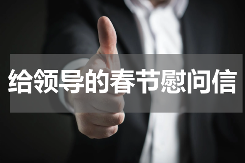 给领导的春节慰问信