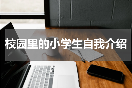 校园里的小学生自我介绍