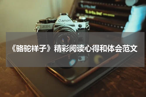 《骆驼祥子》精彩阅读心得和体会范文