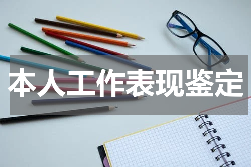 本人工作表现鉴定