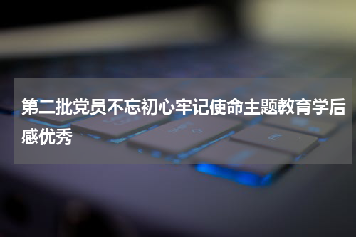 第二批党员不忘初心牢记使命主题教育学后感优秀