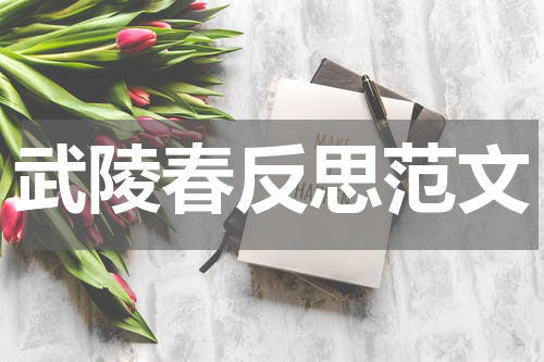 武陵春反思范文