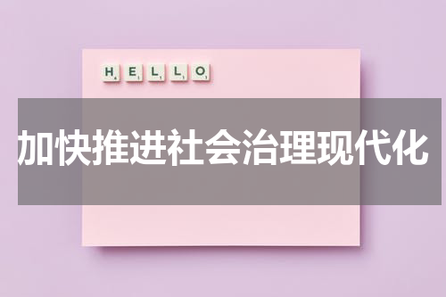 加快推进社会治理现代化