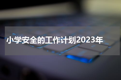 小学安全的工作计划2023年