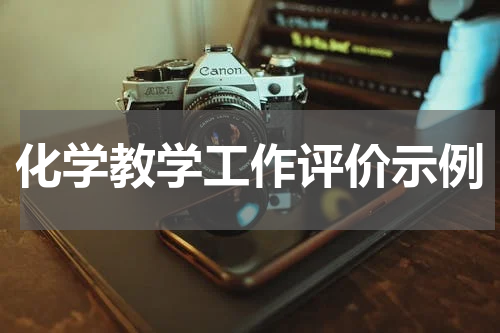 化学教学工作评价示例