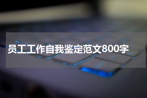 员工工作自我鉴定范文800字