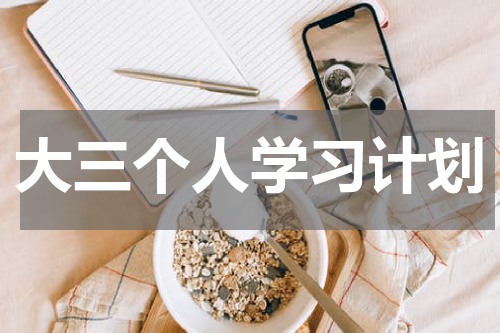大三个人学习计划