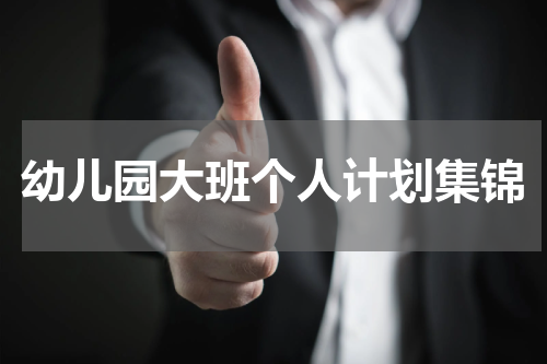 幼儿园大班个人计划集锦