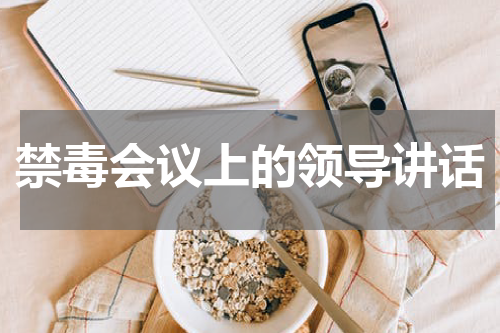 禁毒会议上的领导讲话