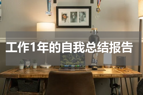 工作1年的自我总结报告