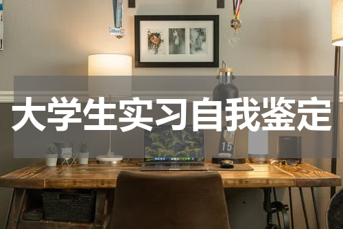 大学生实习自我鉴定