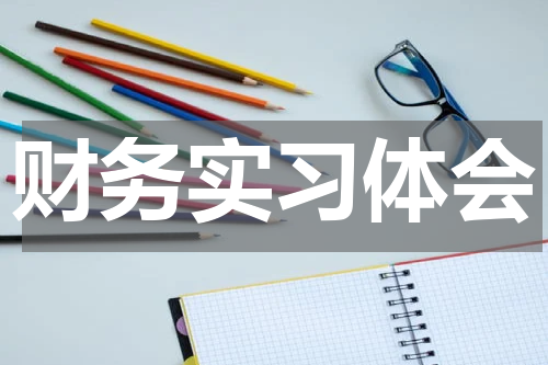 财务实习体会