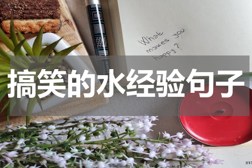 搞笑的水经验句子