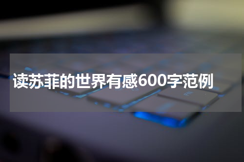 读苏菲的世界有感600字范例
