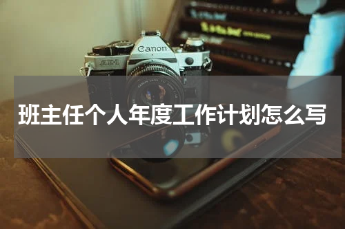 班主任个人年度工作计划怎么写