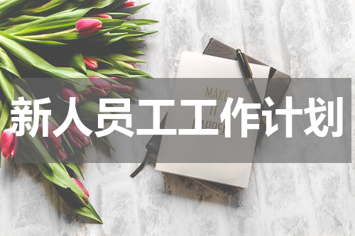 新人员工工作计划