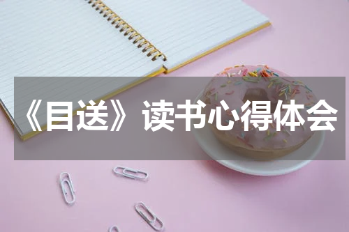 《目送》读书心得体会