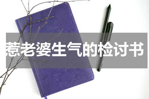 惹老婆生气的检讨书