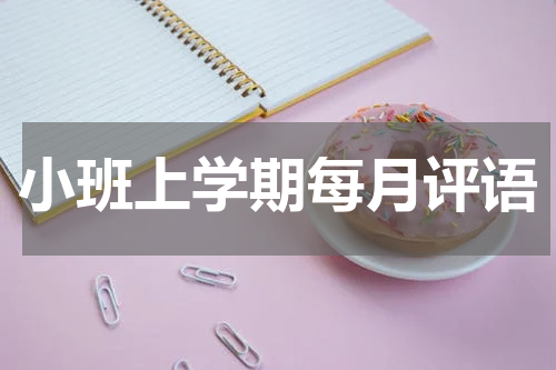 小班上学期每月评语