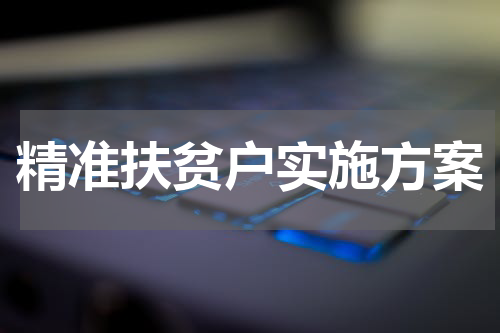 精准扶贫户实施方案