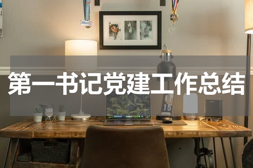 第一书记党建工作总结