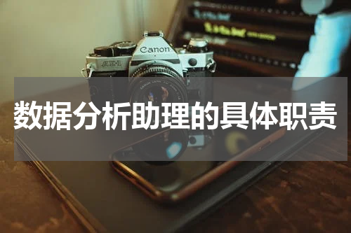 数据分析助理的具体职责