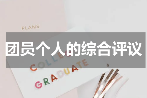 团员个人的综合评议