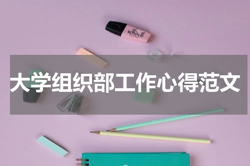 大学组织部工作心得范文