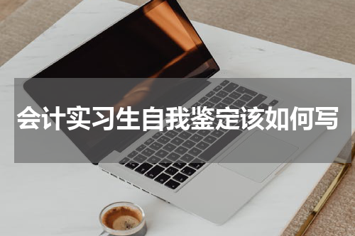 会计实习生自我鉴定该如何写