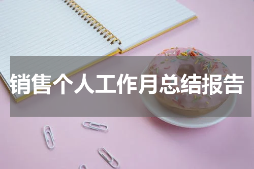 销售个人工作月总结报告