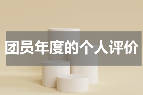 团员年度的个人评价