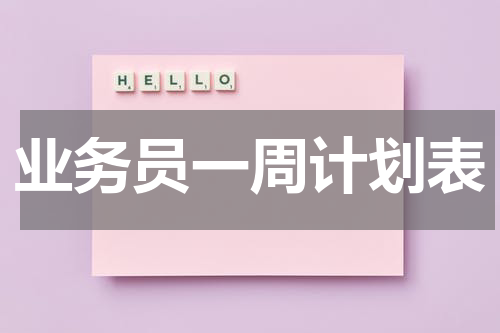 业务员一周计划表