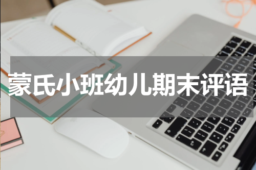 蒙氏小班幼儿期末评语