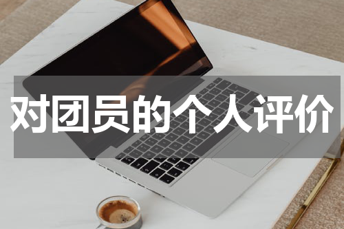 对团员的个人评价