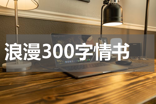 浪漫300字情书
