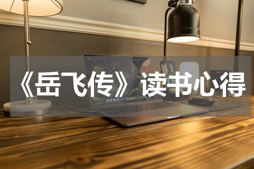 《岳飞传》读书心得