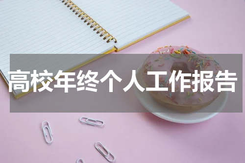 高校年终个人工作报告