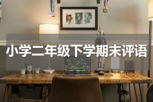小学二年级下学期末评语