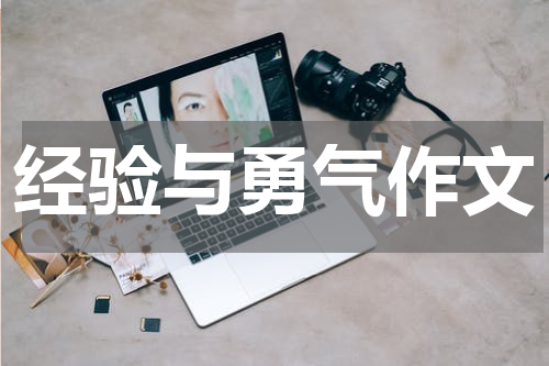 经验与勇气作文