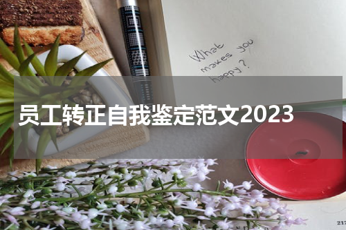 员工转正自我鉴定范文2023