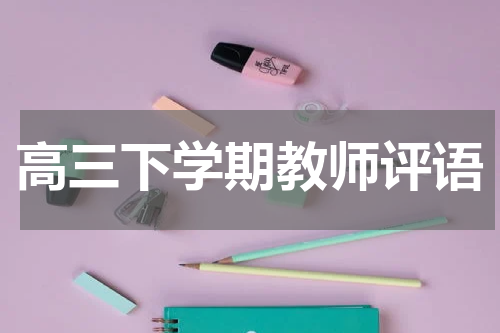 高三下学期教师评语