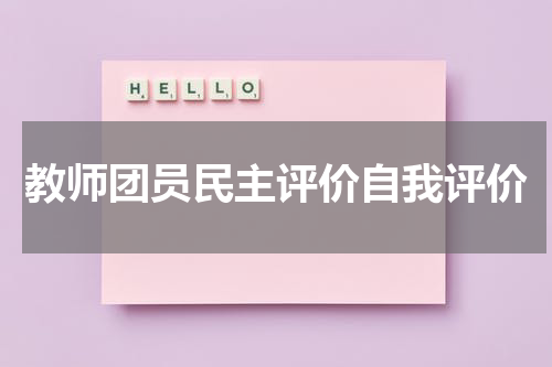 教师团员民主评价自我评价