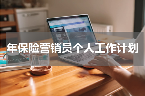 年保险营销员个人工作计划