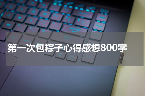 第一次包粽子心得感想800字