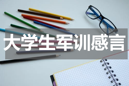 大学生军训感言
