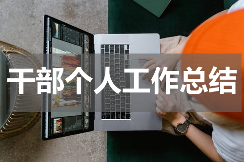 干部个人工作总结