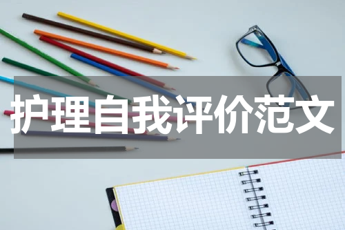 护理自我评价范文